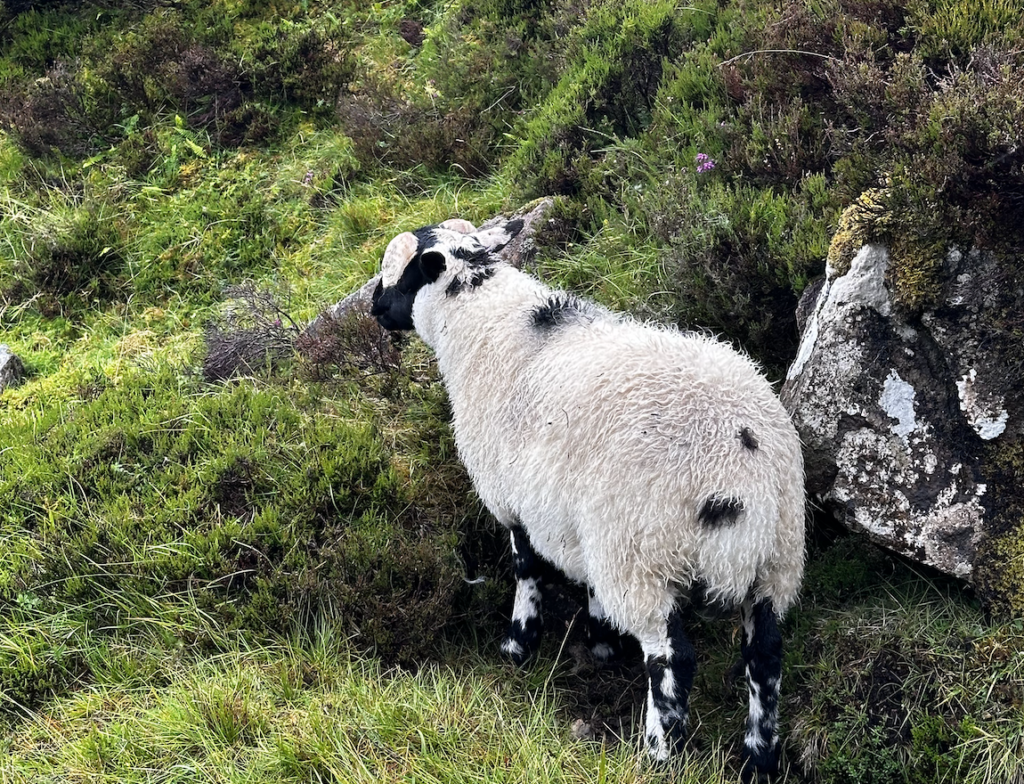 isle of skye