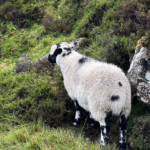 isle of skye